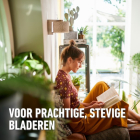 Compo Voedingskuur voor kamerplanten | Compo | 150 ml (5 x 30 ml) 2030322017 K170115788 - 5