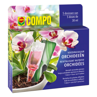Compo Voedingskuur voor kamerplanten | Compo | 150 ml (5 x 30 ml) 2327022017 K170115786