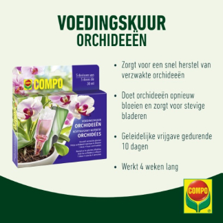 Compo Voedingskuur voor kamerplanten | Compo | 150 ml (5 x 30 ml) 2327022017 K170115786 - 2