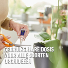 Compo Voedingskuur voor kamerplanten | Compo | 150 ml (5 x 30 ml) 2327022017 K170115786 - 3