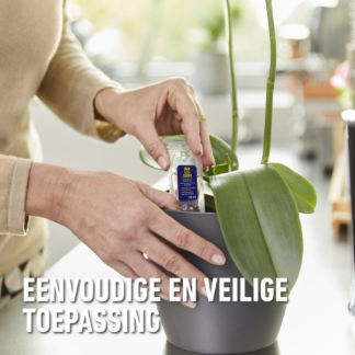 Compo Voedingskuur voor kamerplanten | Compo | 150 ml (5 x 30 ml) 2327022017 K170115786 - 4