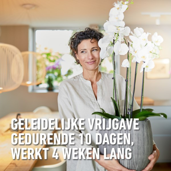 Compo Voedingskuur voor kamerplanten | Compo | 150 ml (5 x 30 ml) 2327022017 K170115786 - 5