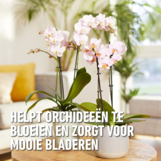 Compo Voedingskuur voor kamerplanten | Compo | 150 ml (5 x 30 ml) 2327022017 K170115786 - 7