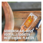 Compo Voedingskuur voor mediterrane planten | Compo | 150 ml (5x 30 ml) 2615402017 K170115957 - 3
