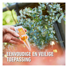 Compo Voedingskuur voor mediterrane planten | Compo | 150 ml (5x 30 ml) 2615402017 K170115957 - 4