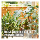 Compo Voedingskuur voor mediterrane planten | Compo | 150 ml (5x 30 ml) 2615402017 K170115957 - 5
