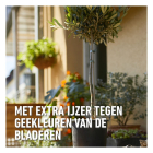 Compo Voedingskuur voor mediterrane planten | Compo | 150 ml (5x 30 ml) 2615402017 K170115957 - 6