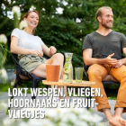 Compo Wespen- en vliegenlokstof | Compo | 250 ml (Ecologisch) 2482302017 K170116082 - 3