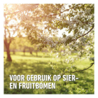 Compo Wondafdekmiddel | Compo | 1 kg 1729902017 K170115958 - 4