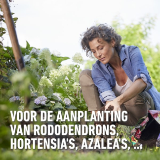 Compo Zuurminnende planten bodemverbeteraar | Compo | 40 liter (Bio-label, Organisch) 2633204017 K170115776 - 3