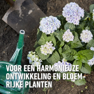 Compo Zuurminnende planten bodemverbeteraar | Compo | 40 liter (Bio-label, Organisch) 2633204017 K170115776 - 4