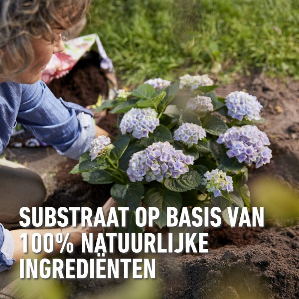 Compo Zuurminnende planten bodemverbeteraar | Compo | 40 liter (Bio-label, Organisch) 2633204017 K170115776 - 5
