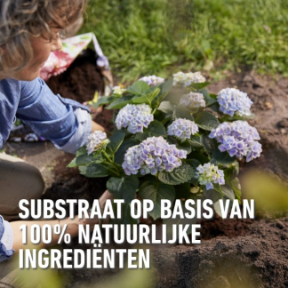 Compo Zuurminnende planten bodemverbeteraar | Compo | 40 liter (Bio-label, Organisch) 2633204017 K170115776 - 5
