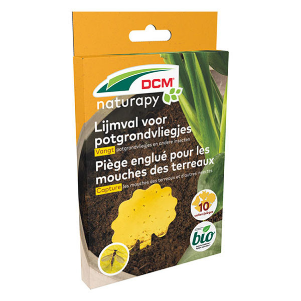 DCM Lijmval voor rouwvliegen | DCM | 10 stuks (Bio-label) 1007086 B170115827 - 1