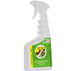 DCM Onkruidverdelger en mos verwijderaar | DCM | 7.5 m² (Gebruiksklaar, Spray, 750 ml) 1003670 K170505025