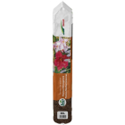 DCM Terras en mediterrane planten potgrond | DCM | 30 liter (Bio-label) 1004509 K170505133 - 5
