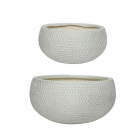 Decoris Bloempot | Decoris | Ø 48 centimeter | 2 stuks (Fiberclay, Schaal, Binnen/buiten, Off-white) 802552 K170116237 Decoris Bloempot | Decoris | Ø 48 centimeter | 2 stuks (Fiberclay, Schaal, Binnen/buiten, Off-white) 802552 K170116237