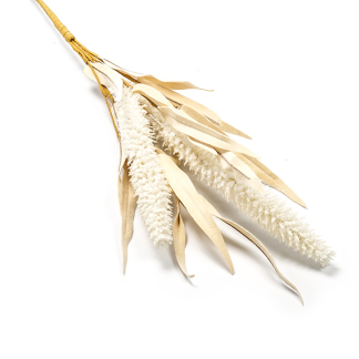 Decoris Decoratieve tak | 60 centimeter (Pluim, Binnen) 220602 K150304032 - 1