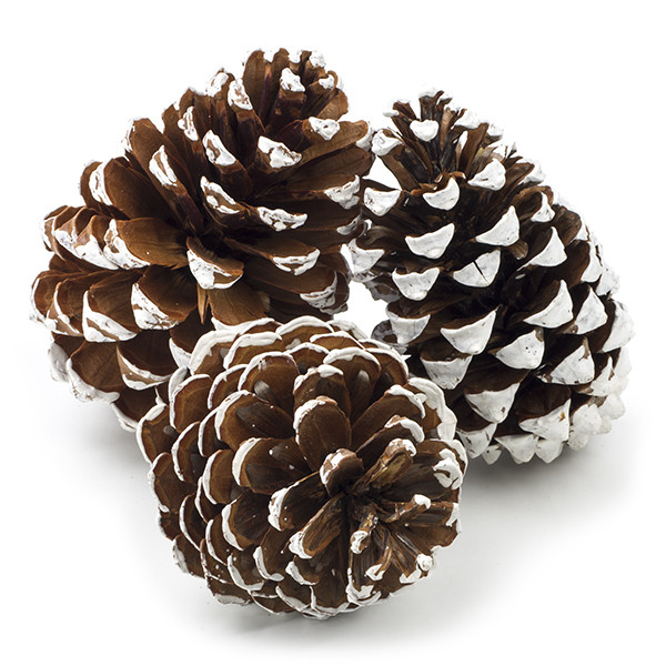 Decoris Dennenappels | Decoris | 3 stuks 707396 K151000605 - 1