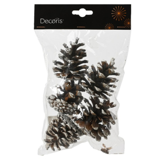 Decoris Dennenappels | Decoris | 5 stuks 707395 K151000606 - 2