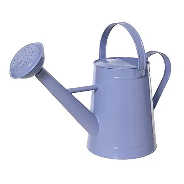 Decoris Gieter | Decoris | 4.5 liter (Sproeikop, Metaal, Blauw) 870764 K170105765 - 1