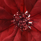 Decoris Kerst ornament | Bloem kerstster (24 cm, Rood) 629332 K151000600 - 6