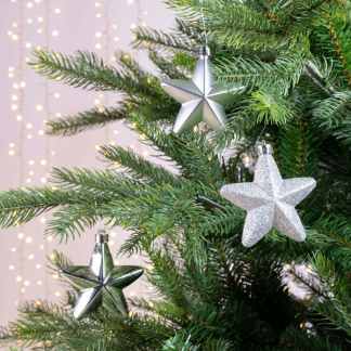Decoris Kerst ornamenten | Sterren | 6 stuks (Zilver) 027861 K151000428 - 
