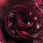Decoris Kerstbloem | Decoris | Roos (Rood, Glitters) 629349 K151000744 - 2