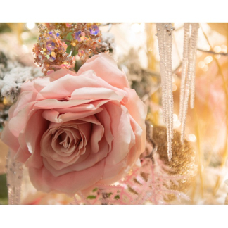 Decoris Kerstbloem | Decoris | Roos (Roze) 220332 K151000602 - 4