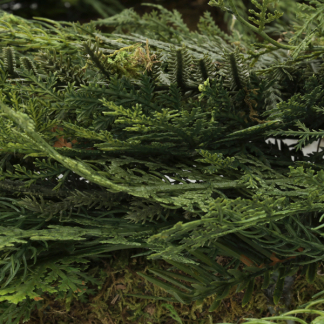 Decoris Kerstkrans | Decoris |  ⌀  40 cm (Binnen, PE) 687473 K151100158 - 2