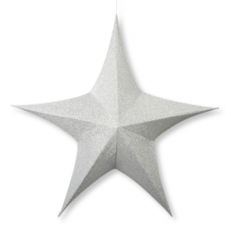 Decoris Kerstster | Decoris | Ø 180 cm (5-punts, Binnen, Zilver) 612324 K151000485 - 1