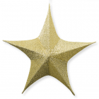 Decoris Kerstster | Decoris | Ø 80 cm (5-punts, Binnen, Goud) 612322 K151000477 - 1