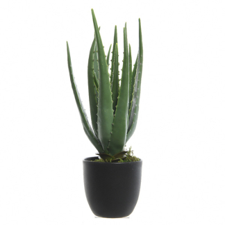 Decoris Kunstplant Aloe Vera | Decoris | 33 cm (In pot, Ø 15 cm) 800789 K170105470
