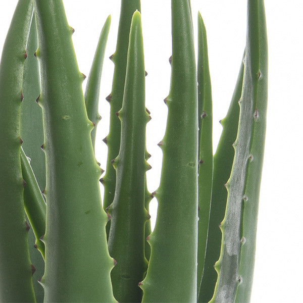 Decoris Kunstplant Aloe Vera | Decoris | 33 cm (In pot, Ø 15 cm) 800789 K170105470 - 3