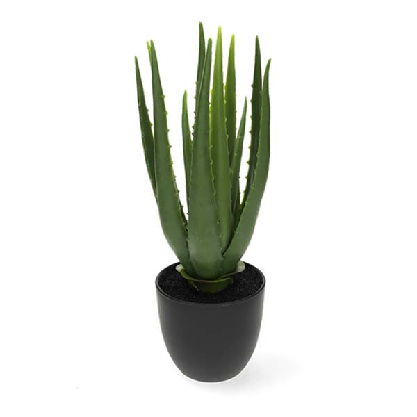 Decoris Kunstplant Aloe Vera | Decoris | 33 cm (In pot, Ø 15 cm) 800789 K170105470 - 1