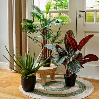 Decoris Kunstplant Calathea | Decoris | 69 cm (In pot, Ø 69 cm) 800999 K170105471 - 3
