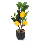 Decoris Kunstplant Citroenboom | Decoris | 27 cm (In pot) 813044 K170105482 - 1