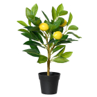 Kunstplant Citroenboom | Decoris | 43 cm (In pot, Ø 21 cm)