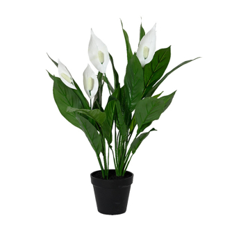 Decoris Kunstplant Lepelplant | Decoris | 60 cm (In pot) 835094 K170105484