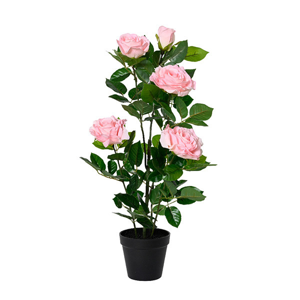 Decoris Kunstplant Rozen | Decoris | 56 cm (In pot) 835091 K170105483 - 1