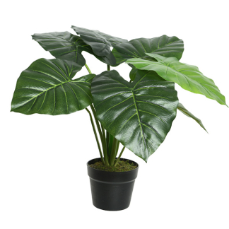 Decoris Kunstplant Taro | Decoris | 52 cm (In pot, Ø 69 cm) 801005 K170105472