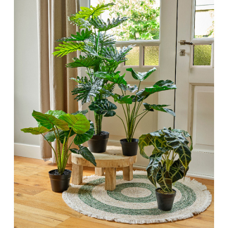 Decoris Kunstplant Taro | Decoris | 52 cm (In pot, Ø 69 cm) 801005 K170105472 - 3