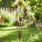 Decoris Tuinsteker tulpen | Decoris | 96 cm (IJzer, Bruin) 873170 K170105743 - 2