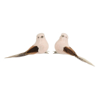 Decoris Vogel kerst ornament | Decoris | 2 stuks (Beige, Clip) 704453 K151001931 - 1