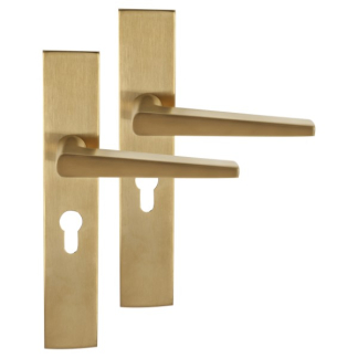 Differnz Deurklink met cilinderschild | Differnz | Rotterdam | 55 mm (RVS, Goud) 86.025.33 K010830394 - 1