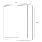 Differnz Medicijnkast | Differnz | 35 x 15 x 45 cm (Met spiegel, 1 legplank) 36.401.00 K010830274 - 2