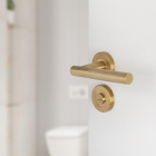 Differnz Wc-sluiting | Differnz (Rond, RVS, Goud) 86.030.33 K010830403 - 2