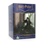 Disney Harry Potter beeld | Harry Potter | 12.5 x 21 x 20.5 cm (Kunststof) HP24320 K151001316 - 3