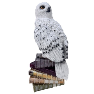Disney Hedwig beeld | Harry Potter | 44 cm (Kunststof) HP24319 K151001315