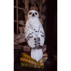 Disney Hedwig beeld | Harry Potter | 44 cm (Kunststof) HP24319 K151001315 - 2
